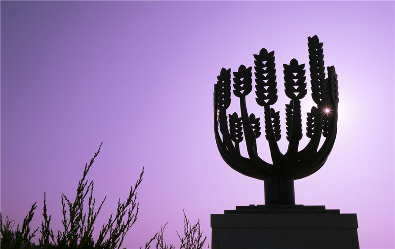 墓穴維修服務(wù)